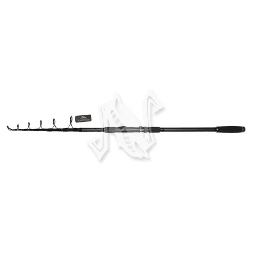 UT-00031462^Pic1