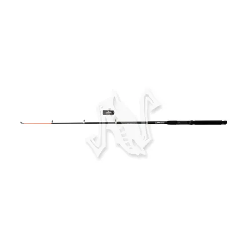UT-00019206^Pic1
