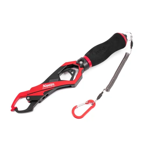 Изображение №1 для сайта.