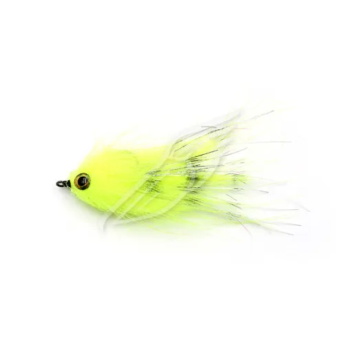 UT-00031361^Pic1