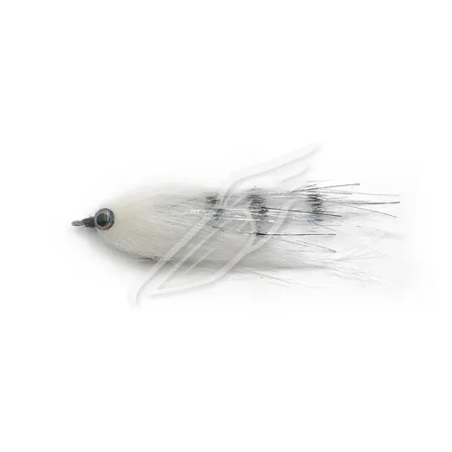 UT-00031363^Pic1