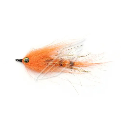 UT-00031365^Pic1