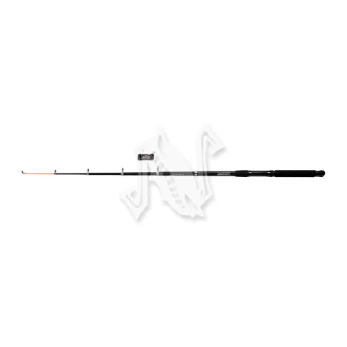 UT-00019209^Pic1