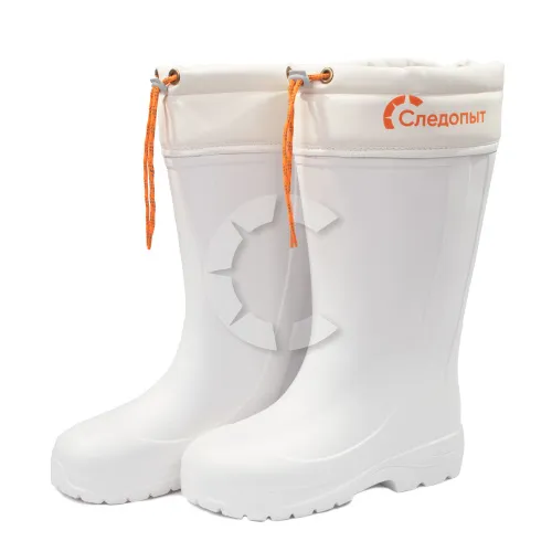 Изображение №1 для сайта.