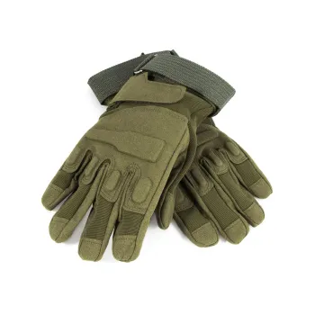 Изображение №1 для сайта.