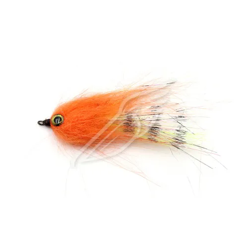 UT-00031362^Pic1