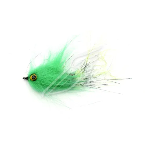 UT-00031369^Pic1