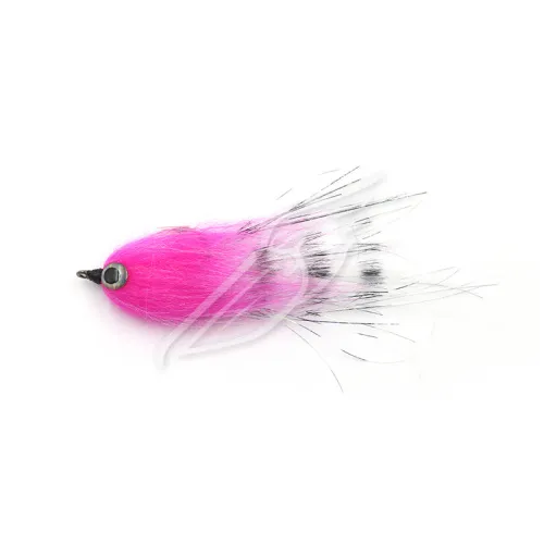 UT-00031360^Pic1