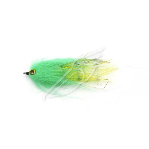 UT-00031359^Pic1