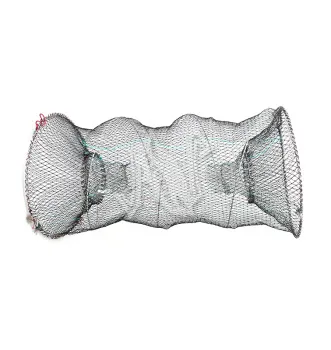 UT-00021381^Pic1
