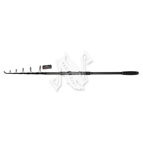 UT-00031462^Pic1