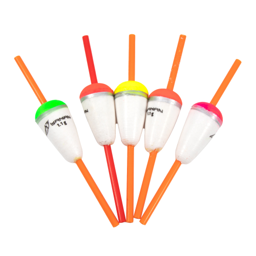 Изображение №1 для сайта.