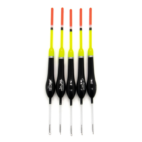 UT-00032907^Pic1