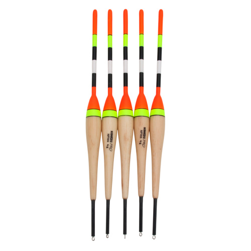 Изображение №1 для сайта.