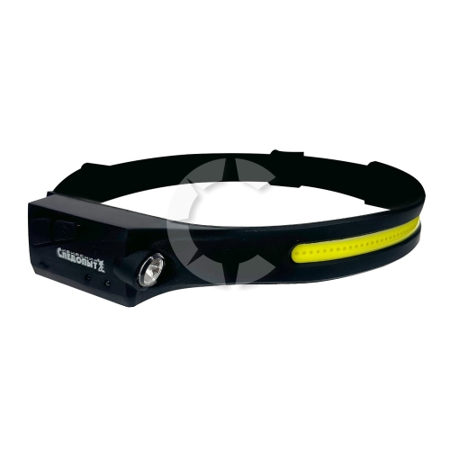 Изображение №1 для сайта.