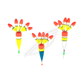 Изображение №1 для сайта.