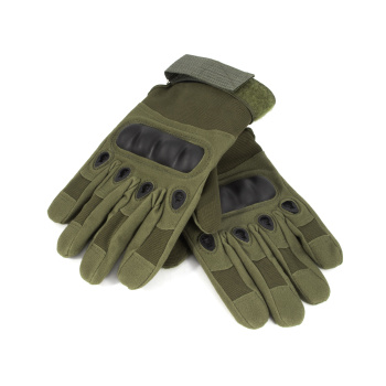 Изображение №1 для сайта.