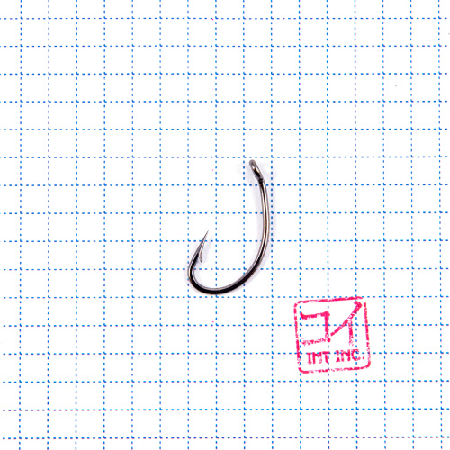 Изображение №1 для сайта.