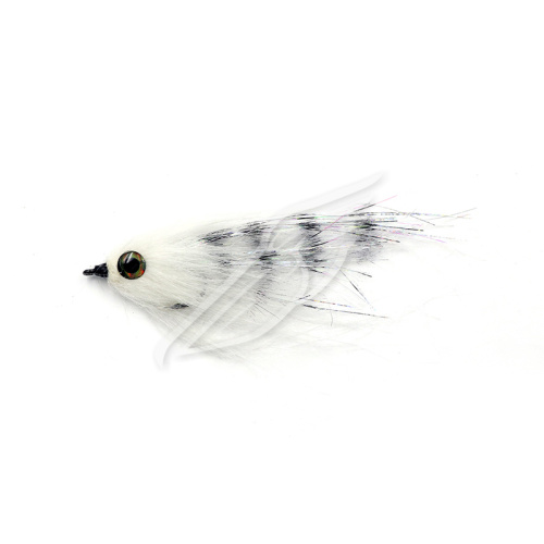 UT-00031373^Pic1