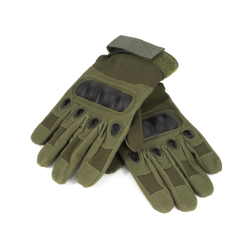 Изображение №1 для сайта.