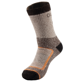 Изображение №1 для сайта.