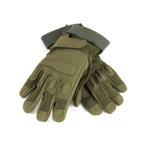 Изображение №1 для сайта.