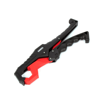 Изображение №1 для сайта.