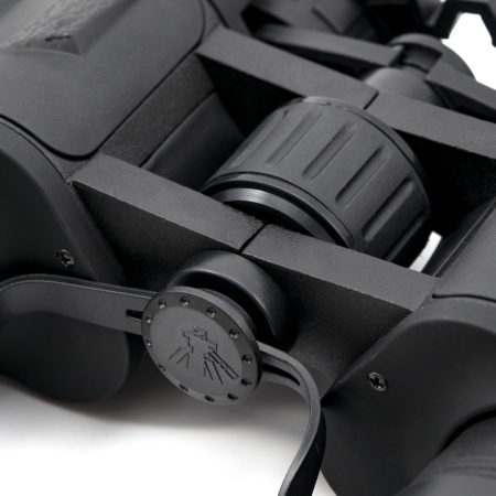 Изображение №6 для сайта.