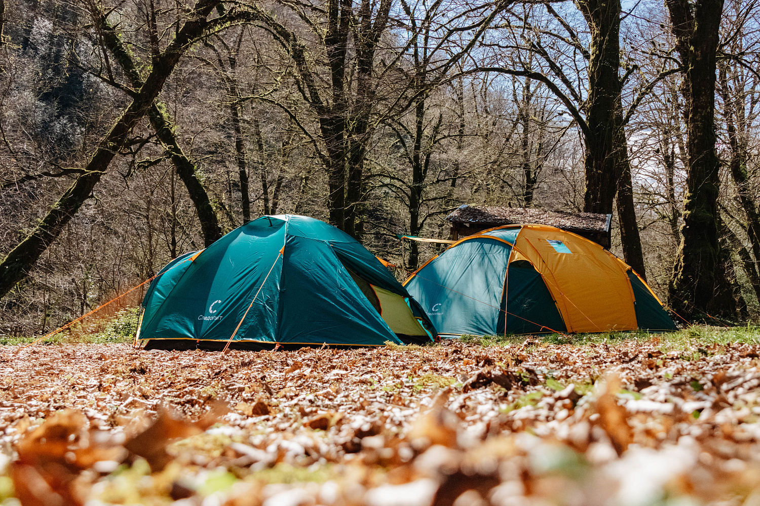 Как выбрать летнюю палатку?