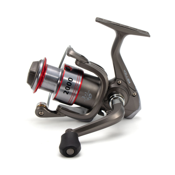 Изображение №2 для сайта.