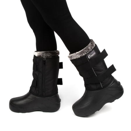 Изображение №5 для сайта.