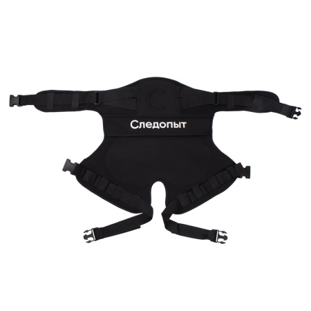 Изображение №2 для сайта.