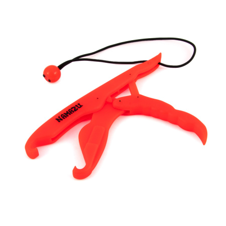 Изображение №2 для сайта.